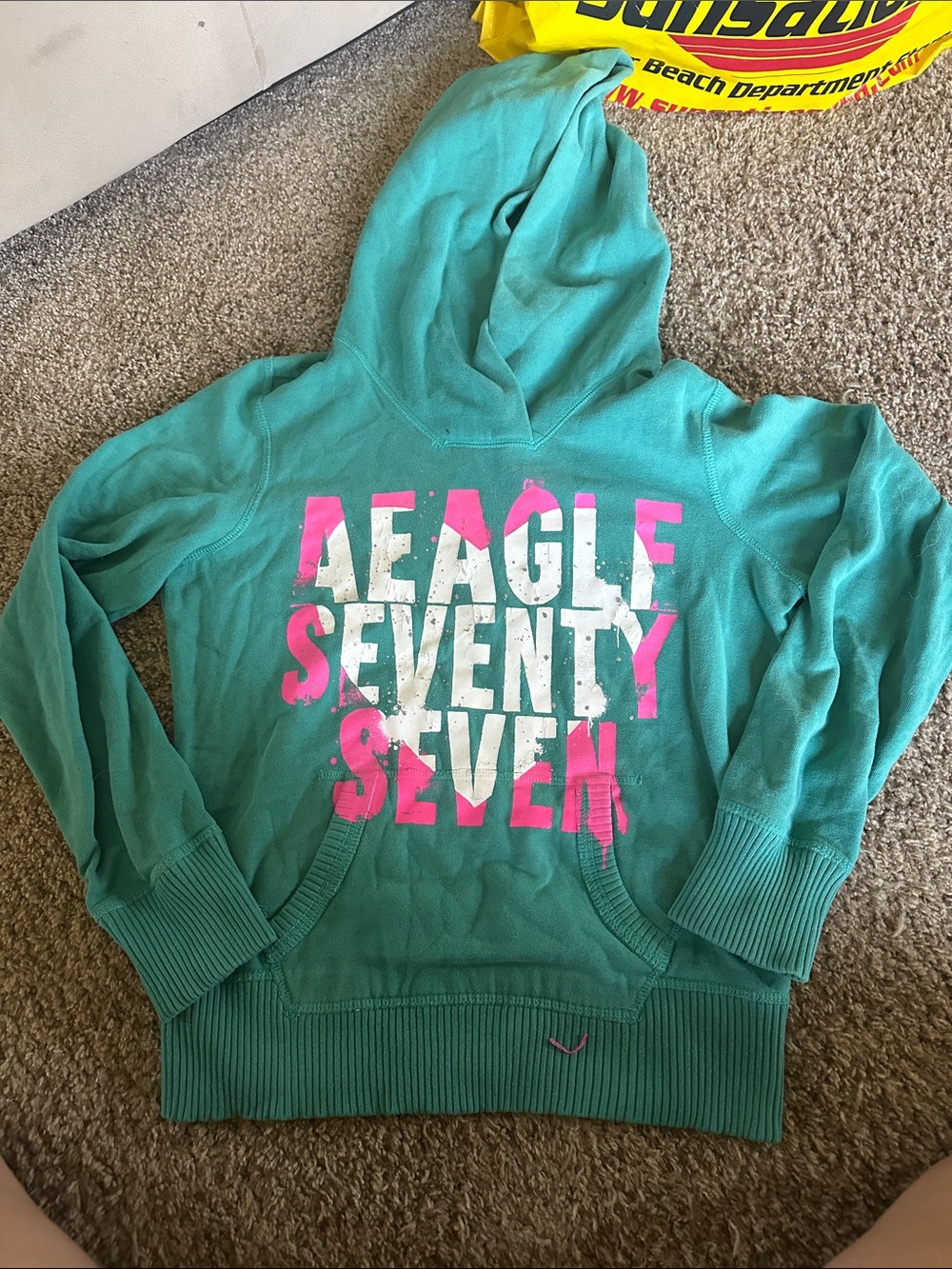 American Eagle Outfitters Teal Hoodie with Pink & White Graphic